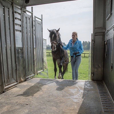 Shuttle for Horse