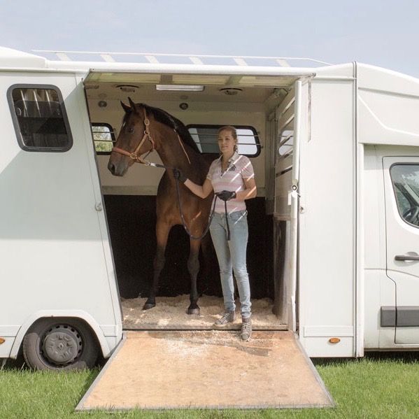Tessa Lubben vom Pferdetransport Blessing im Pferdetransporter