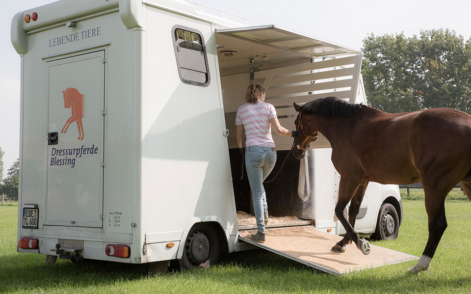 Horse Shuttle